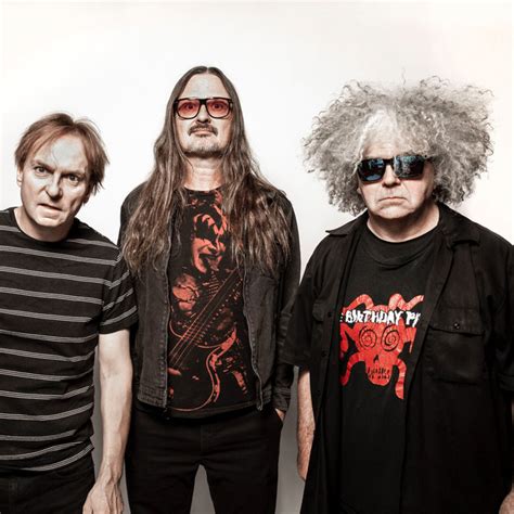 melvins scaruffi